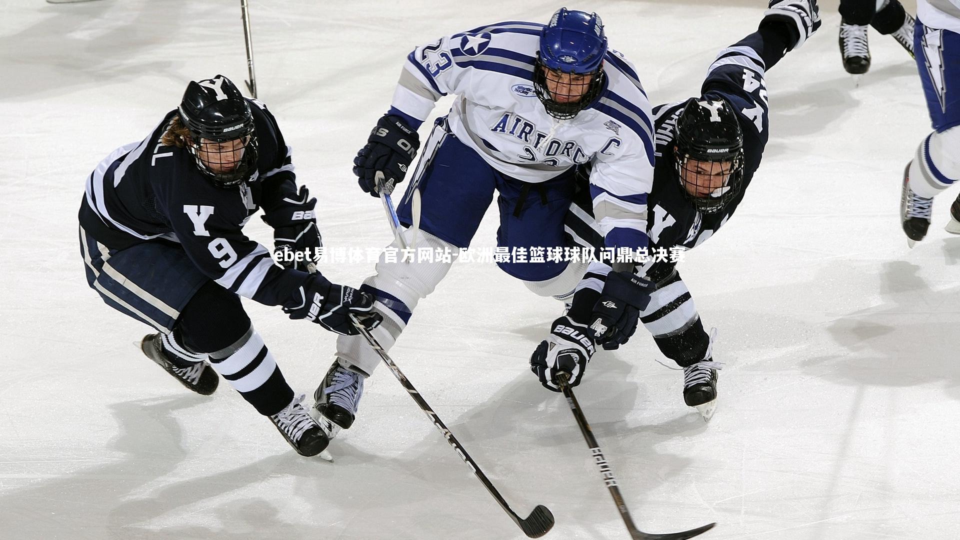 欧洲最佳篮球球队问鼎总决赛